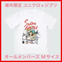 UNIQLO ユニクロ　海外限定　ジブリ コラボ　Tシャツ　M