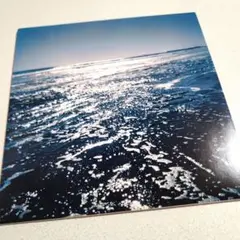 その線は水平線