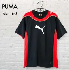 PUMA プーマ 半袖Ｔシャツ トップス ロゴＴ スポーツウエア キッズ 160