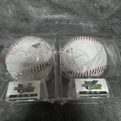 2021 日本シリーズ オリックス 東京ヤクルトスワローズ 試合球 パリーグ球場