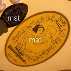 ディズニーランド スーベニアメダル マンスリーメダル 白雪姫 王子