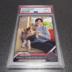 Topps - 【PSA10】大谷翔平 デコピン カード  2023 満票 MVP topps 2025年最新】大谷 デコピン psa10の人気アイテム - メルカリ