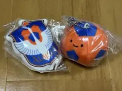 アルビレックス新潟 にっこりーノ