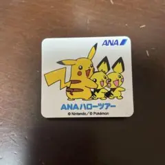 ANAハローツアー　ポケモン　ピンプレート