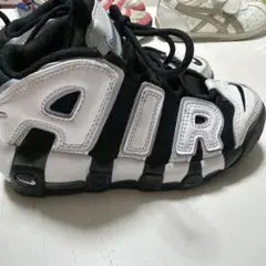 Item thumbnail for item da81dc65-a37d-4846-8760-d341e09c1e76