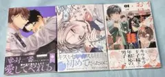 悠と晴　高嶺の花には欲がある　インテリお兄さんと図書館職員