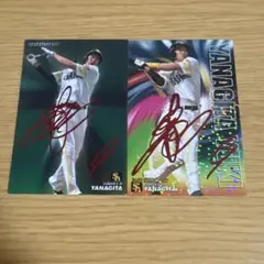 Item thumbnail for item 76d78cd5-83ac-4e38-bf74-7d5c451178eb