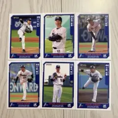 【21枚セット】★バラ売り可★東京ヤクルトスワローズ　トレーディングカード