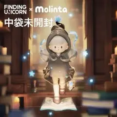 Molinta モリンタ Chasing Light 光を追ってシリーズ ①
