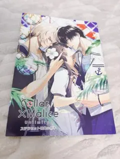 カラーマリス 小冊子