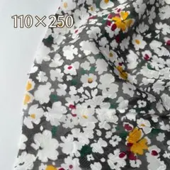 Item thumbnail for item 51b5fbca-f967-4480-bece-87d593c280bf