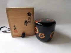 Item thumbnail for item 6498c9cc-f0f9-437c-b9bb-6468d217b3d9