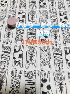 動物柄　綿生地 110×55cm
