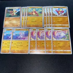 コジョフー コジョンド まとめ セット