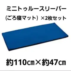 【新品未使用】ミニトゥルースリーパー ごろ寝マット×2枚セット丨低反発素材使用