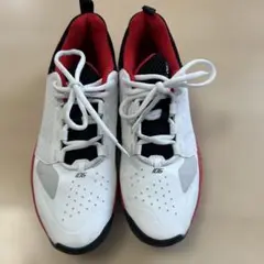 ヨネックス　オムニクレー用　26、5cm