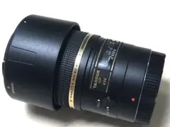 Item thumbnail for item 1ca20252-e0ca-4bb9-b268-65c65d2dbf9a