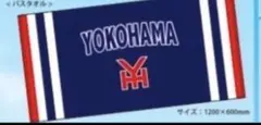 横浜高校野球部　応援バスタオル