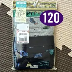 Item thumbnail for item 2d27140a-0a94-44bc-97ad-b95cf8f7541f