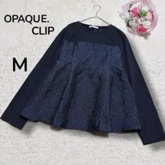 Item thumbnail for item e818c6d8-ba66-459d-9762-dd97a62ac15a