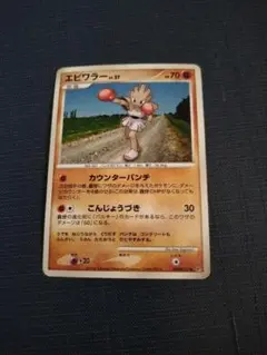 エビワラー トレーディングカード HP70