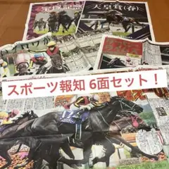 スポーツ報知 JRA 競馬