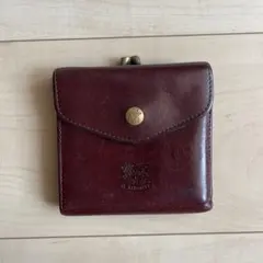 IL BISONTE