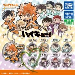 ハイキュー!! ぴた！でふぉめアクリルキーホルダー vol.2 松川一静