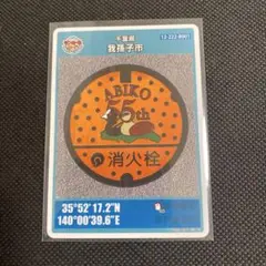 【匿名配送】マンホールカード　我孫子B