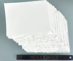 Item thumbnail for item 394650a8-95a2-49b5-81f8-e36b049a8dcb