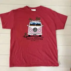 DOLE PLANTATION HAWAII Tシャツ ドール ハワイ土産 S