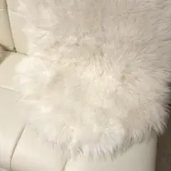 ニトリ　アクセントマット　エコファー