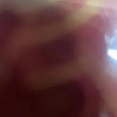 専用