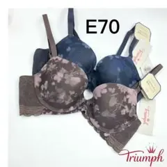 Item thumbnail for item 7c73798c-8d15-4ebc-acbb-f1ce6b82b59d