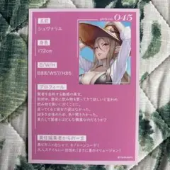 対魔忍 シュヴァリエ FACE Vol.04 ～ビーチスナップ～