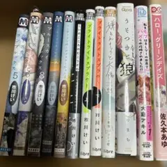 blマンガ纏め売り　12冊セット