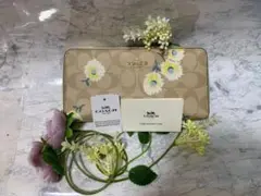 COACH 22100144 長財布 シグネチャー 正規品 鑑定済
