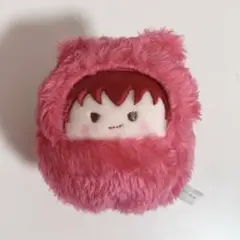 ヒカルの碁　加賀　くるみたぴぬい　ぬいぐるみ