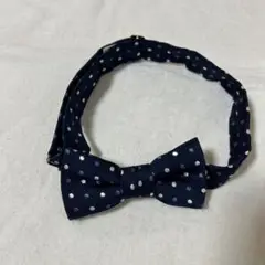 Item thumbnail for item 8989f58b-f04f-4c1f-b225-5ab124a8cdf1