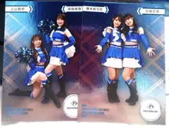 Item thumbnail for item 2db6dc0e-3dd2-4da0-b917-8b1de637d07d