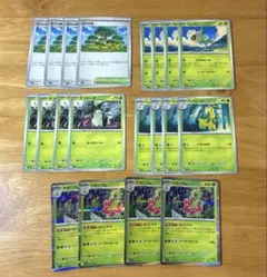 活力の森、セレビィ、メガニウム 進化ライン 計20枚セット