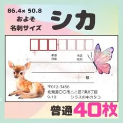 【シカ】宛名シール　差出人シール　普通サイズ　40枚　シンプル　動物　鹿