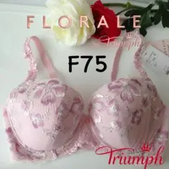 Item thumbnail for item aa5f6875-4f10-49ce-9738-9cf8764b4ed8