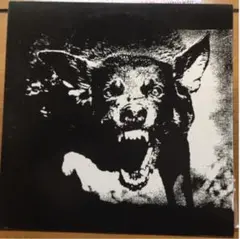THE EXECUTE/AN OMEN OF FEAR EP　レコード 2025年最新】the executeの人気アイテム - メルカリ