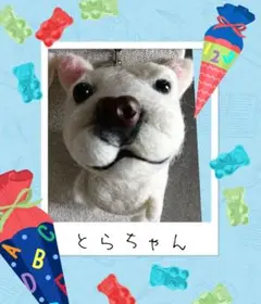 確認ぺージです