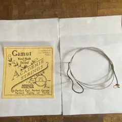 2025年最新】コントラバス 弦 ガットの人気アイテム - メルカリ