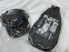 Item thumbnail for item 235a827b-b80d-414b-a83c-5e8b90047c70