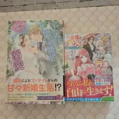 【２冊セット】『半年後に円満離婚のはずが、』『旦那様が愛人を…』