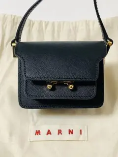 《 MARNI 》サフィアーノカーフスキン TRUNK BAG NANO
