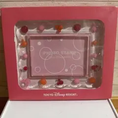 東京ディズニーリゾート フォトスタンド